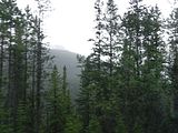 114 - Banff,Lake Louise,Morraine Lake  - IMGA0084